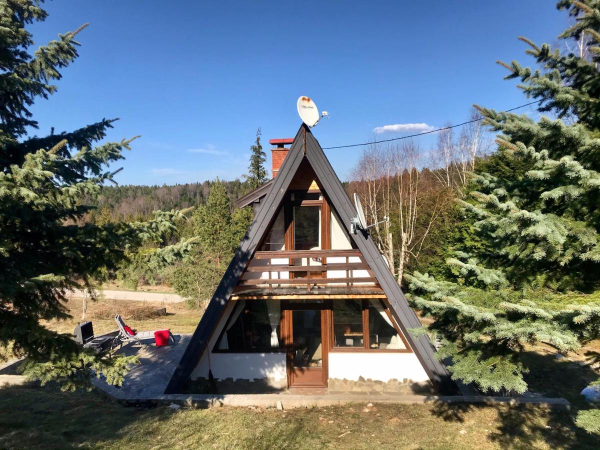 Mansion Tara Villa Sljivovica  Buitenkant foto