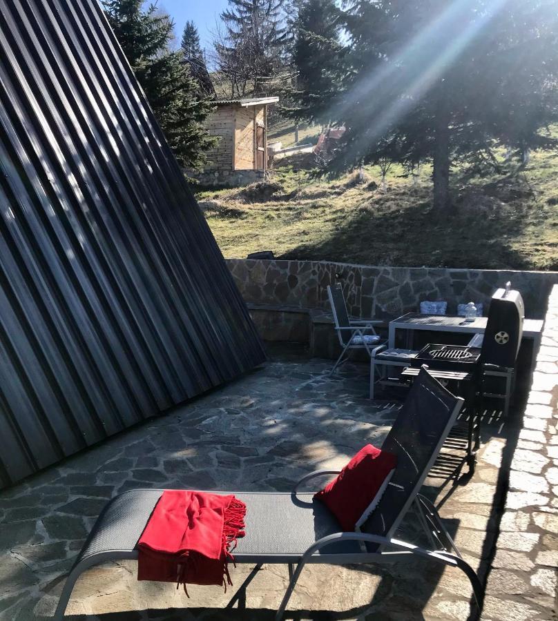 Mansion Tara Villa Sljivovica  Buitenkant foto
